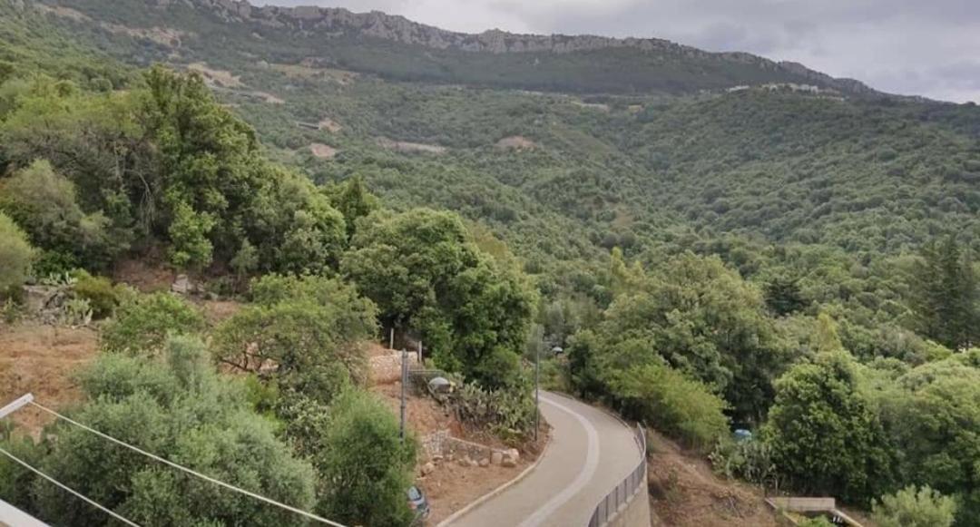 Sa Dommu 'E Su Coro Villa Triei Екстериор снимка