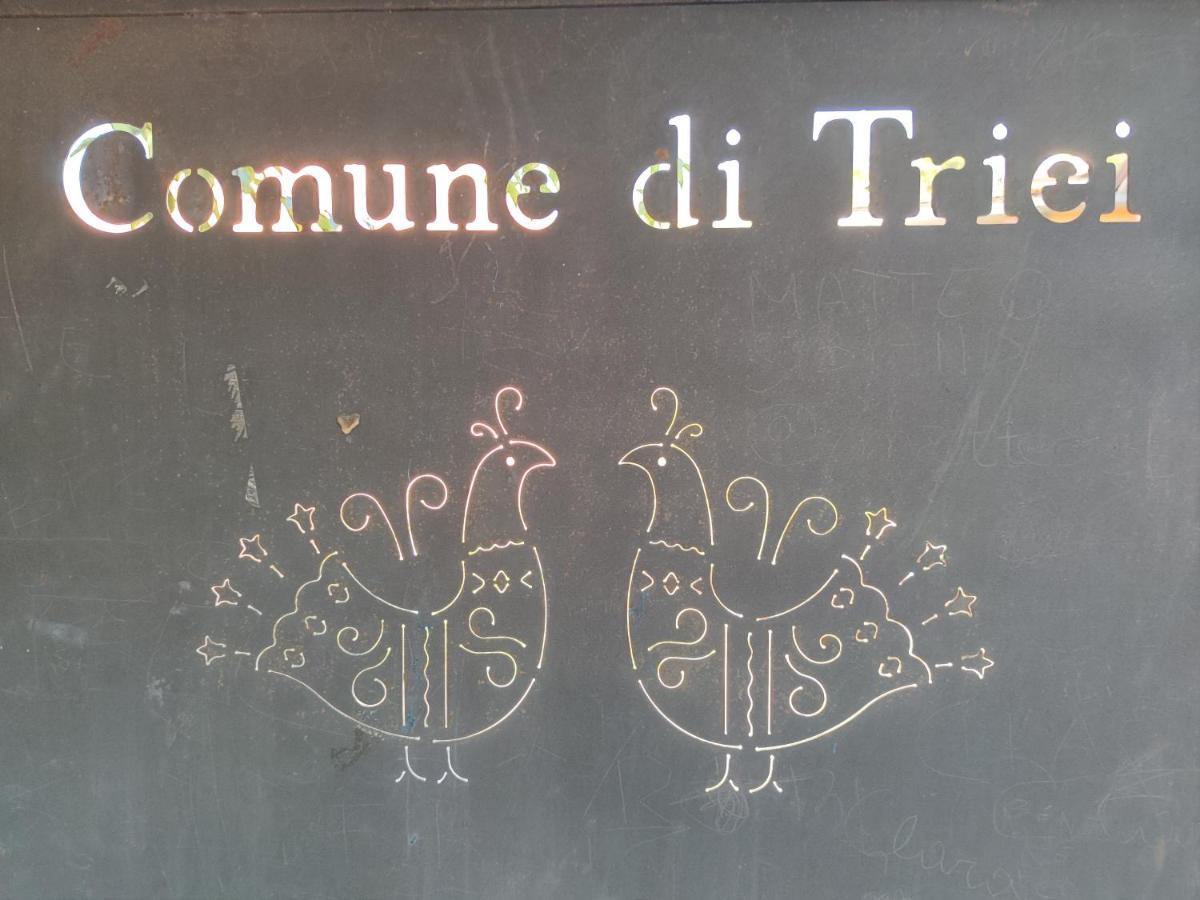 Sa Dommu 'E Su Coro Villa Triei Екстериор снимка